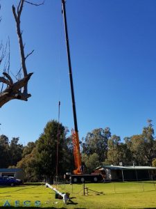 Liebherr Crane lifting 50m tower