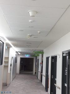 RFI Low PIM DAS Omni Ceiling Antenna